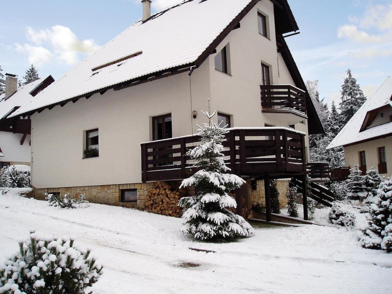 Apartment Harrachov/Riesengebirge 2400 Exteriör bild